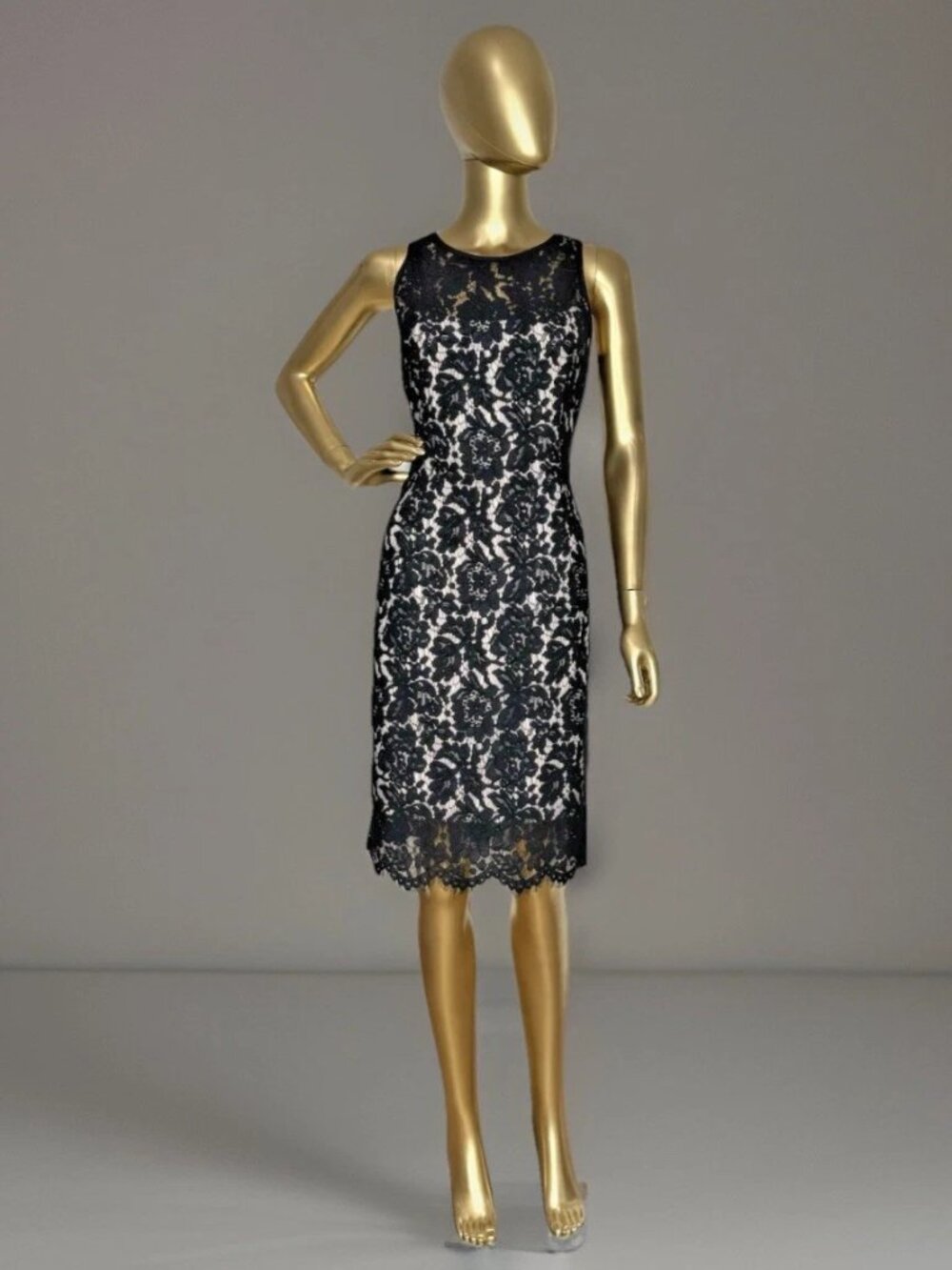 NWT White House Black Market 8 Floral Lace Contrast Sleeveless Sheath Dress